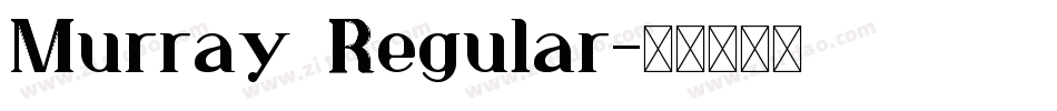Murray Regular字体转换